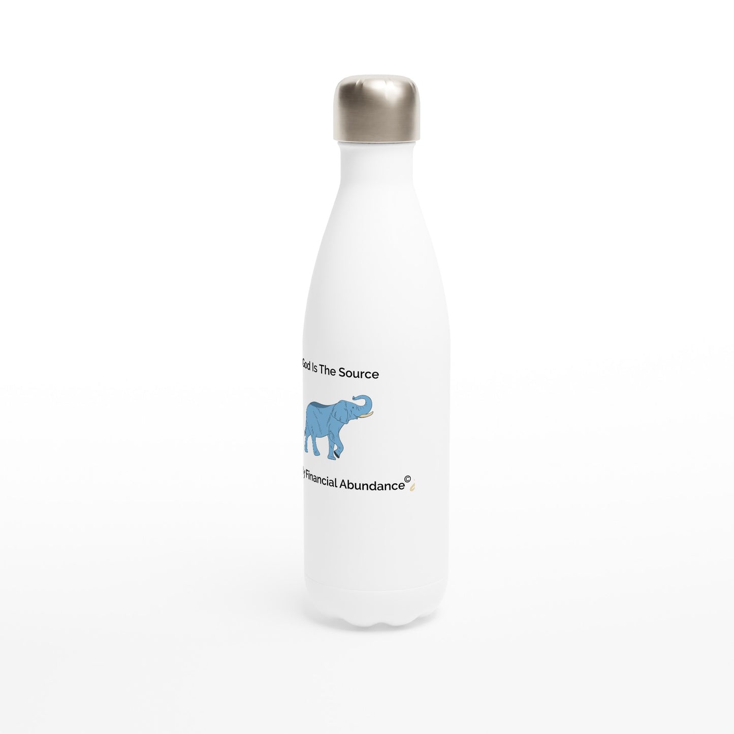MindShift Water Bottle - God Is The Source Of My Financial Abundance - 17oz