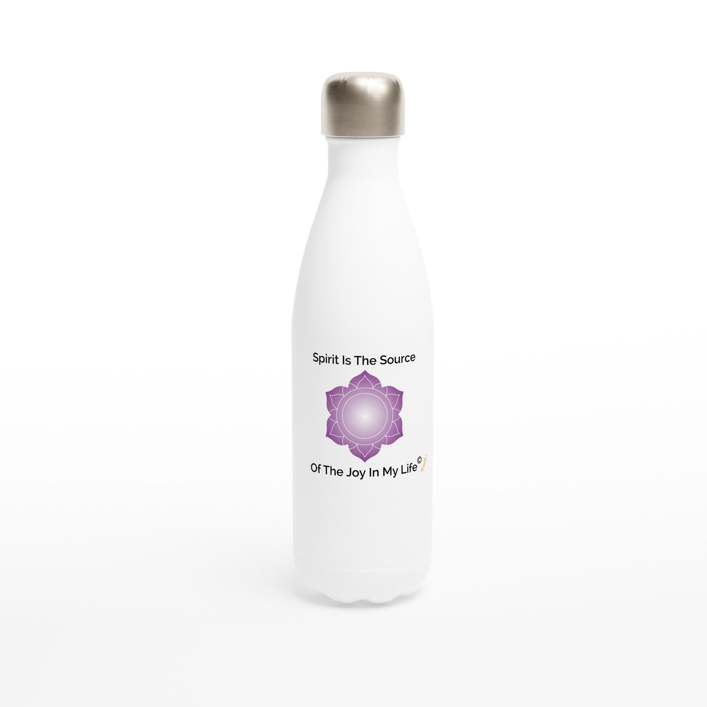 MindShift Water Bottle - Spirit Is The Source Of The Joy In My Life - 17oz