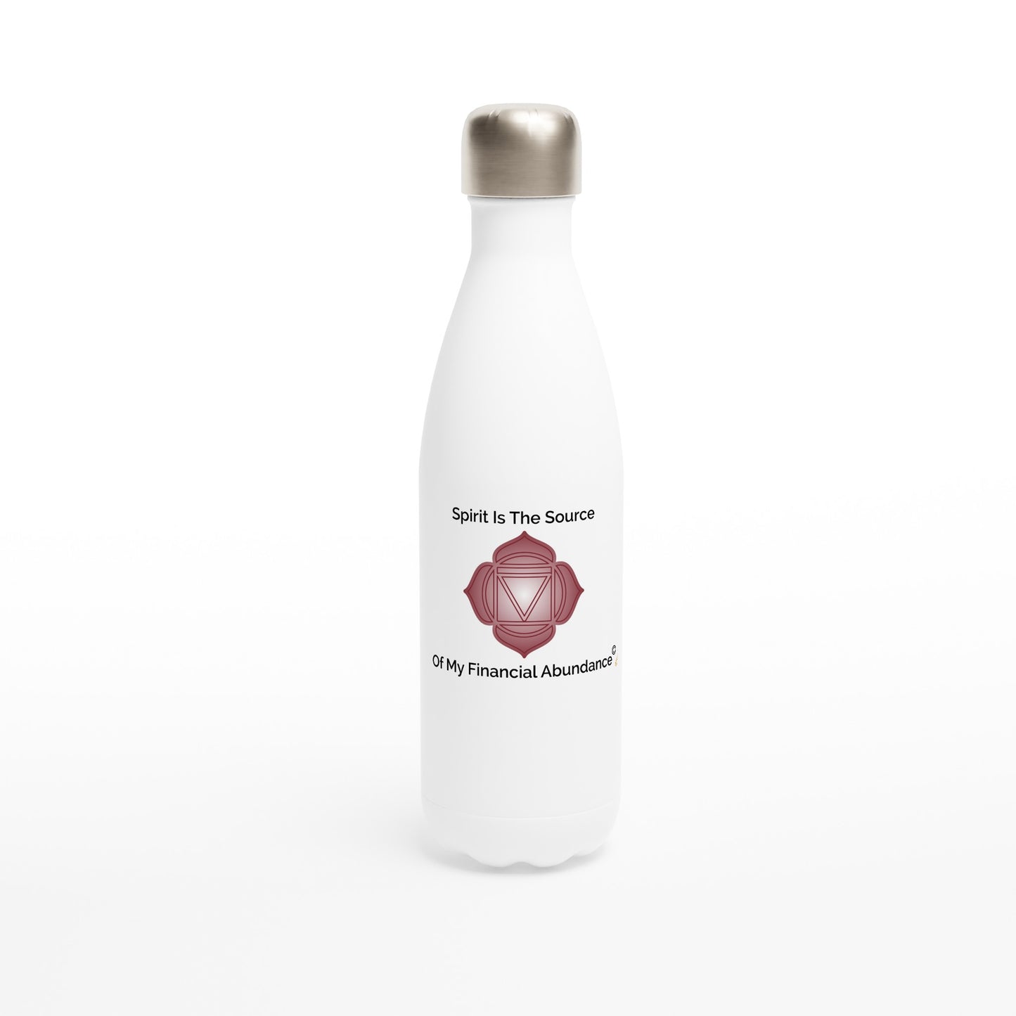 MindShift Water Bottle - Spirit Is The Source Of My Financial Abundance - 17oz