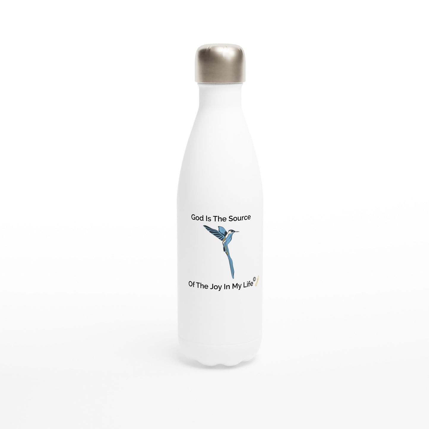 MindShift Water Bottle - God Is The Source Of The Joy In My Life - 17oz