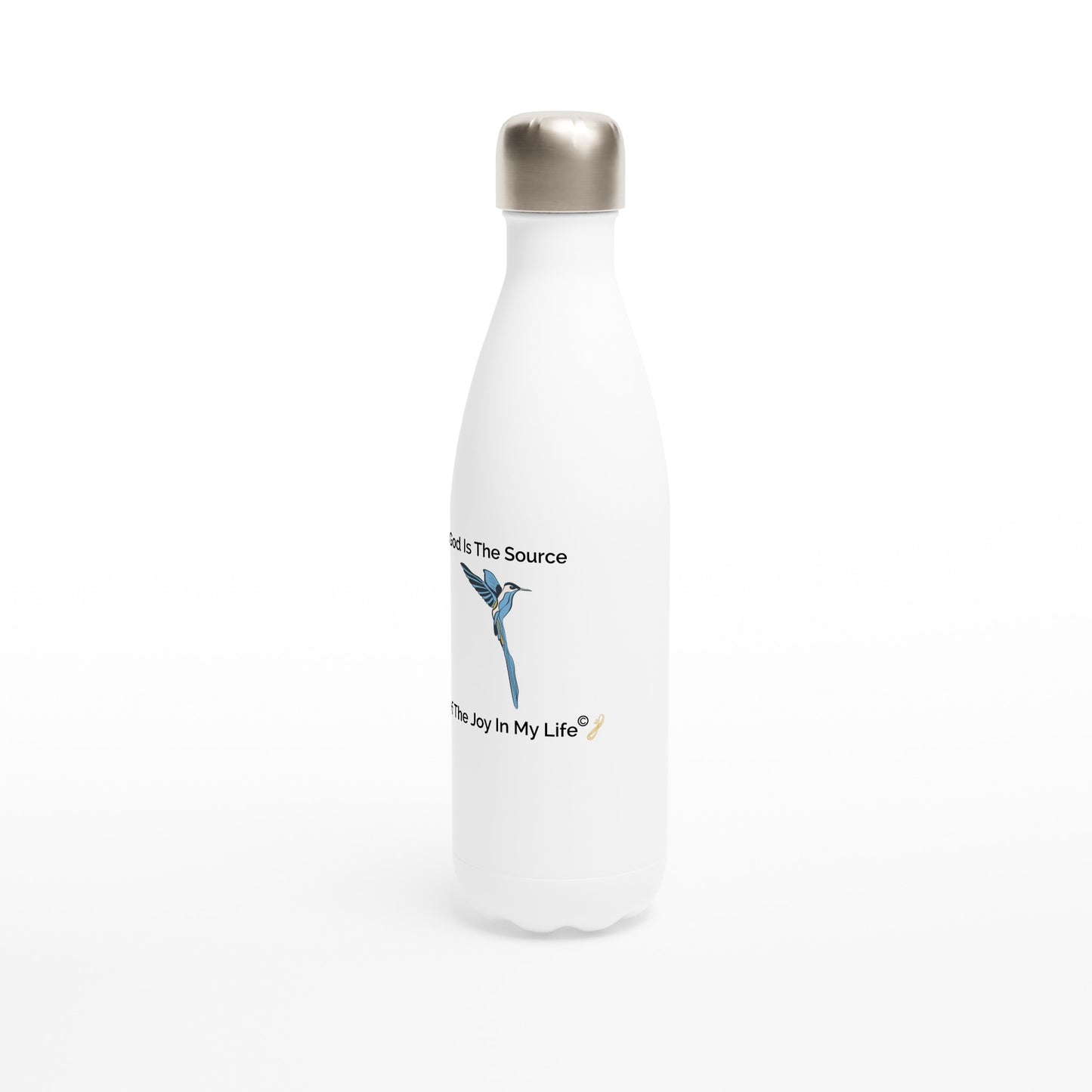 MindShift Water Bottle - God Is The Source Of The Joy In My Life - 17oz